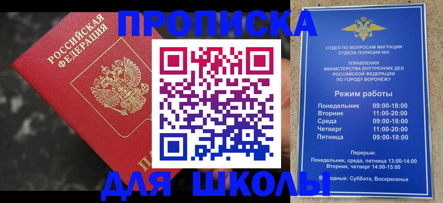 прописка для школы в Тосно